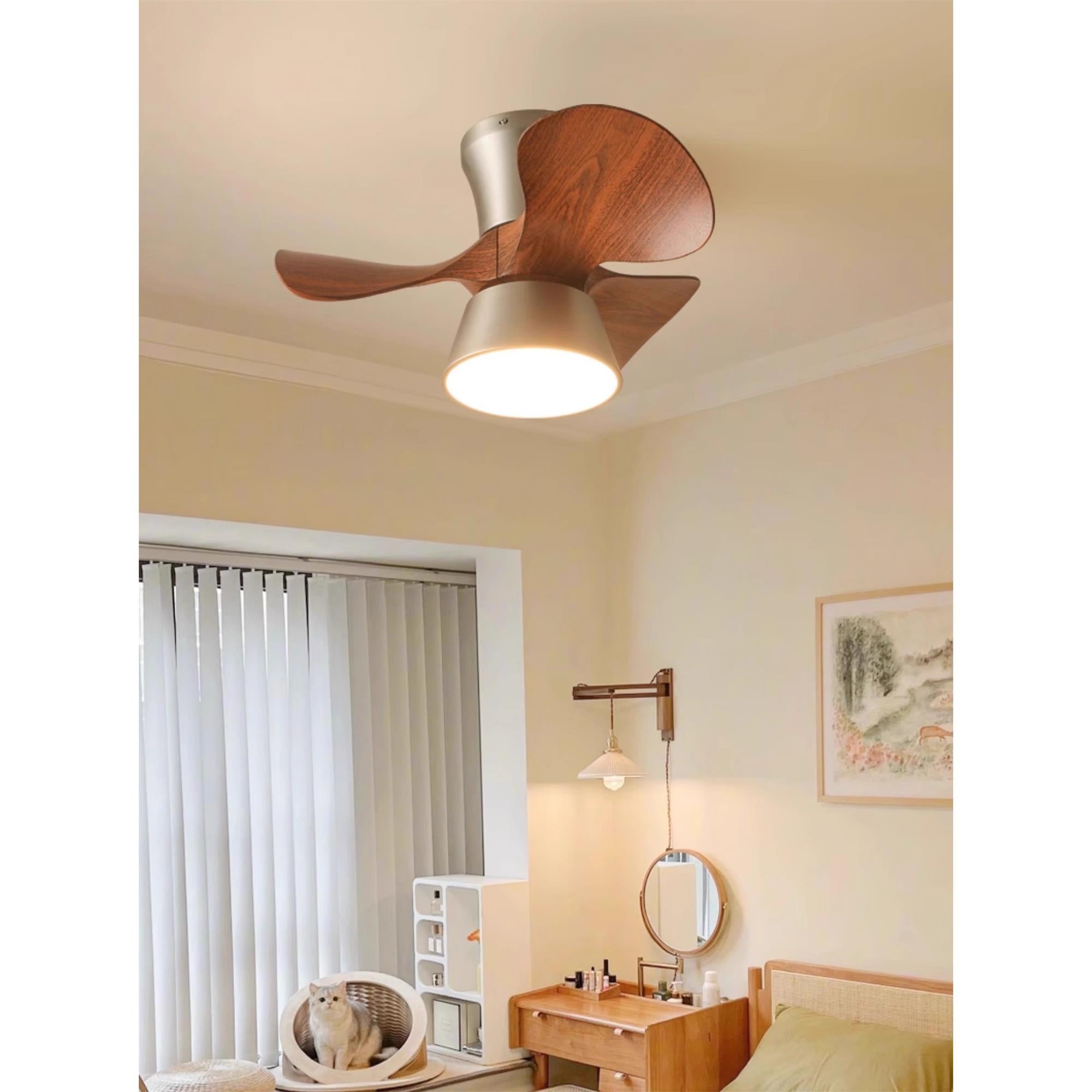 Caluelle Ceiling Fan Light