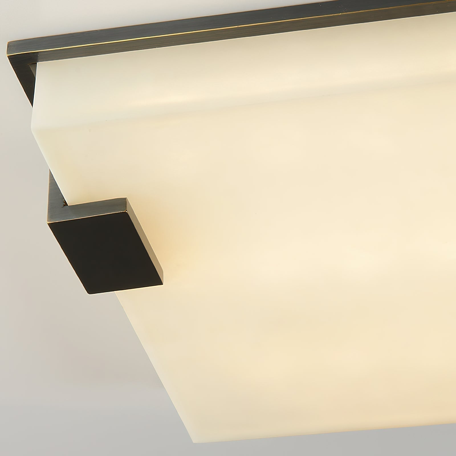 Aveninina Ceiling Light