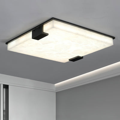 Aveninina Ceiling Light