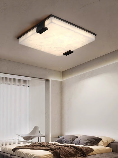Aveninina Ceiling Light