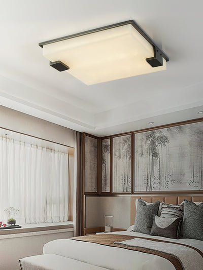 Aveninina Ceiling Light