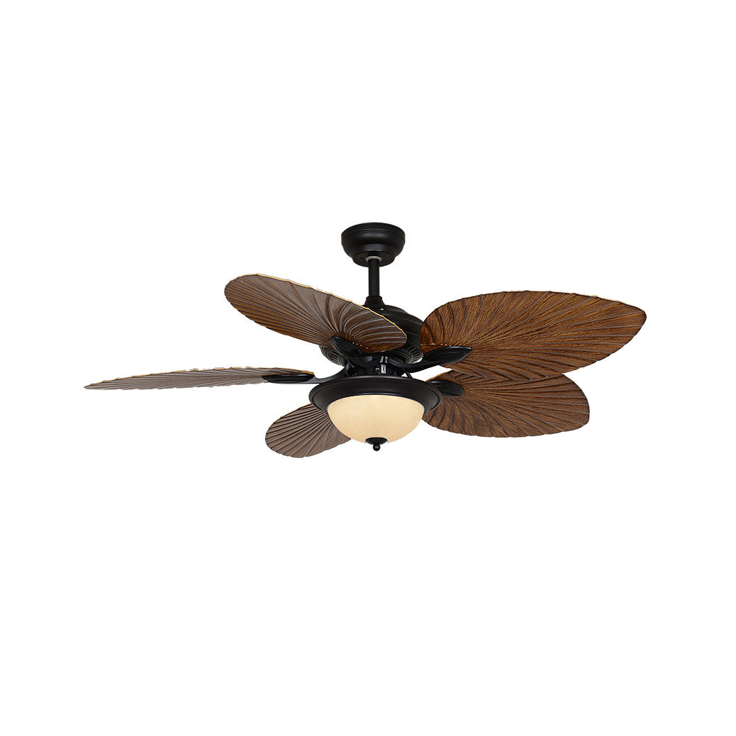 Viraalel Ceiling Fan Light