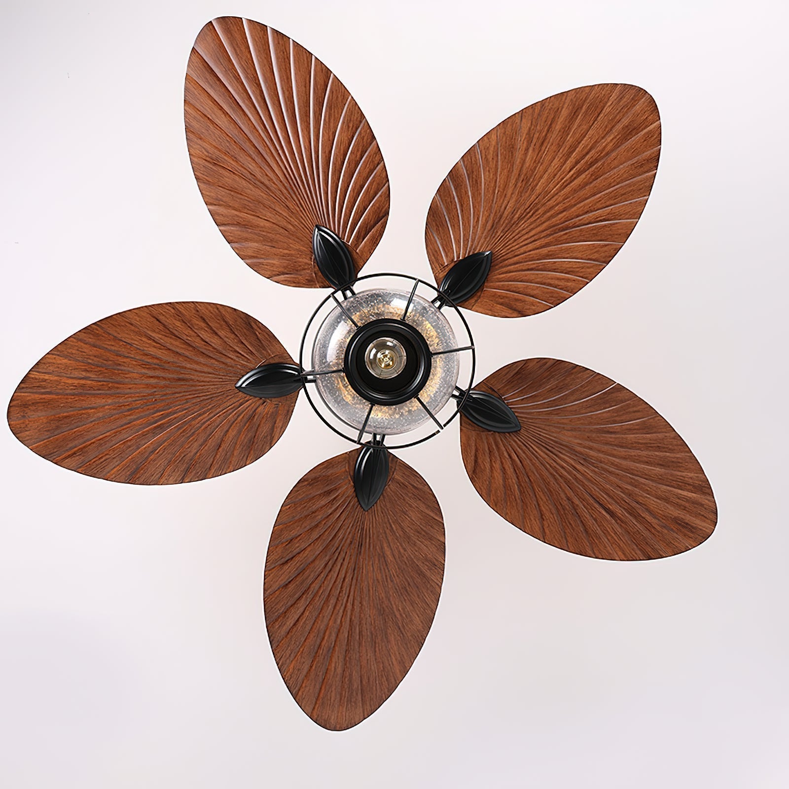 Viraalel Ceiling Fan Light