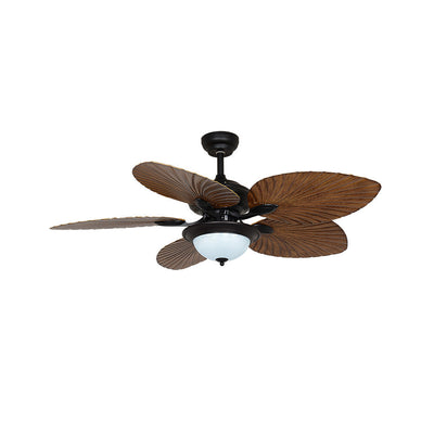 Viraalel Ceiling Fan Light