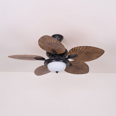 Viraalel Ceiling Fan Light