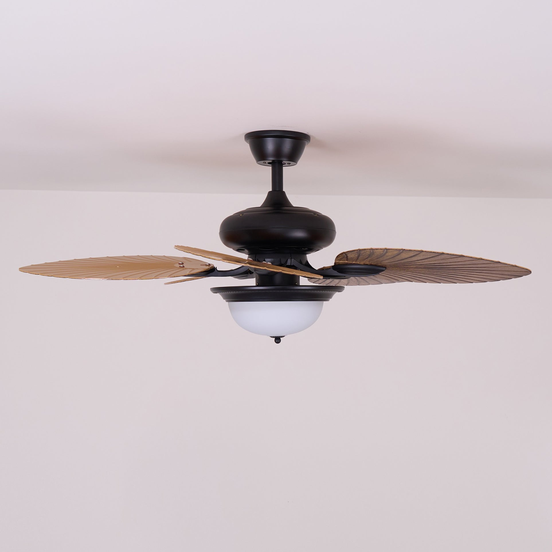 Viraalel Ceiling Fan Light