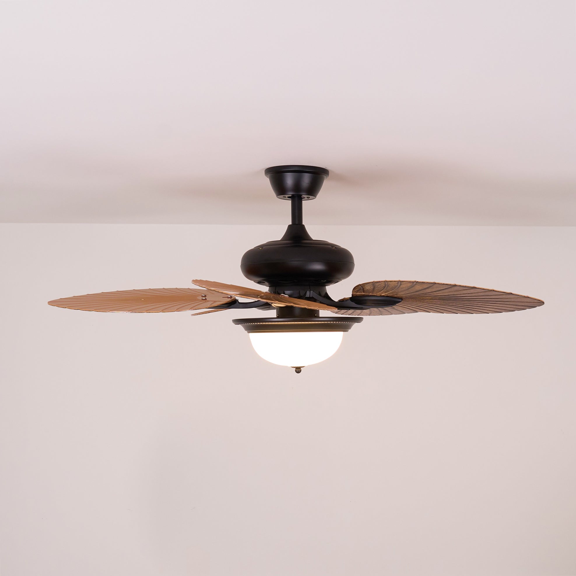 Viraalel Ceiling Fan Light