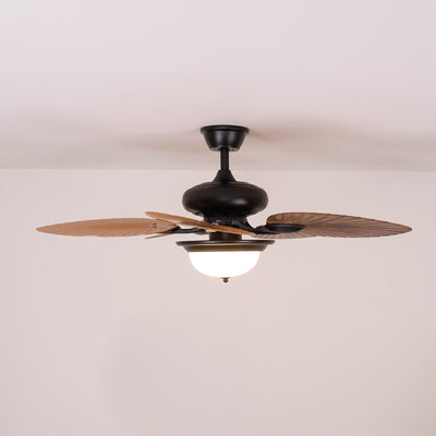 Viraalel Ceiling Fan Light