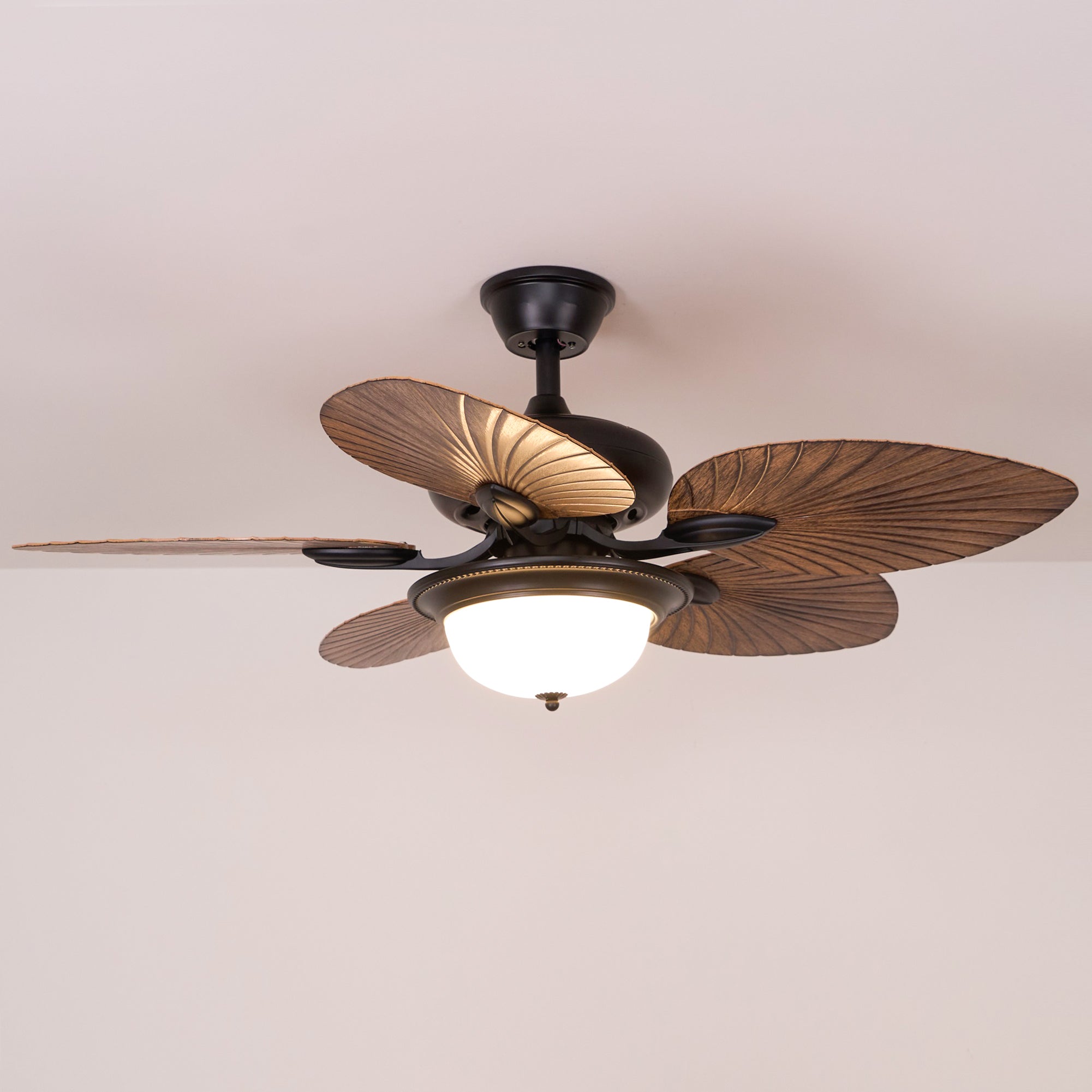 Viraalel Ceiling Fan Light