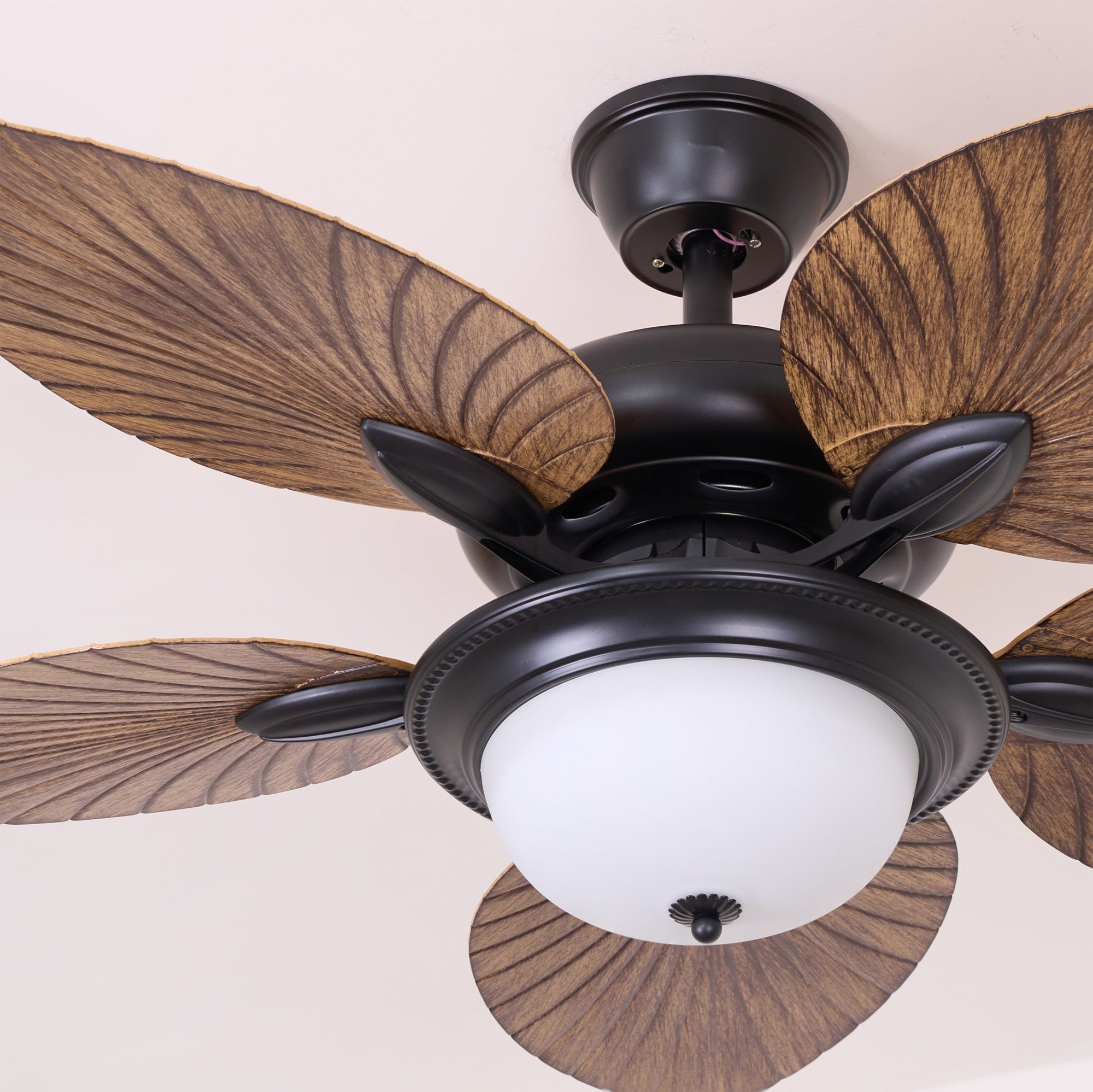 Viraalel Ceiling Fan Light