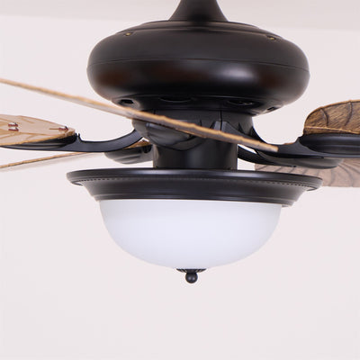 Viraalel Ceiling Fan Light
