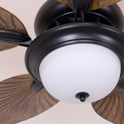Viraalel Ceiling Fan Light