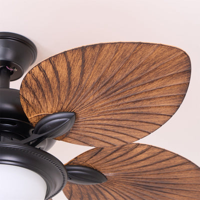 Viraalel Ceiling Fan Light