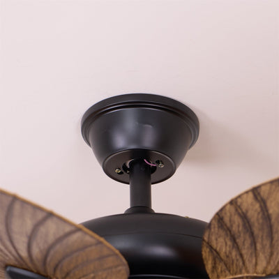 Viraalel Ceiling Fan Light