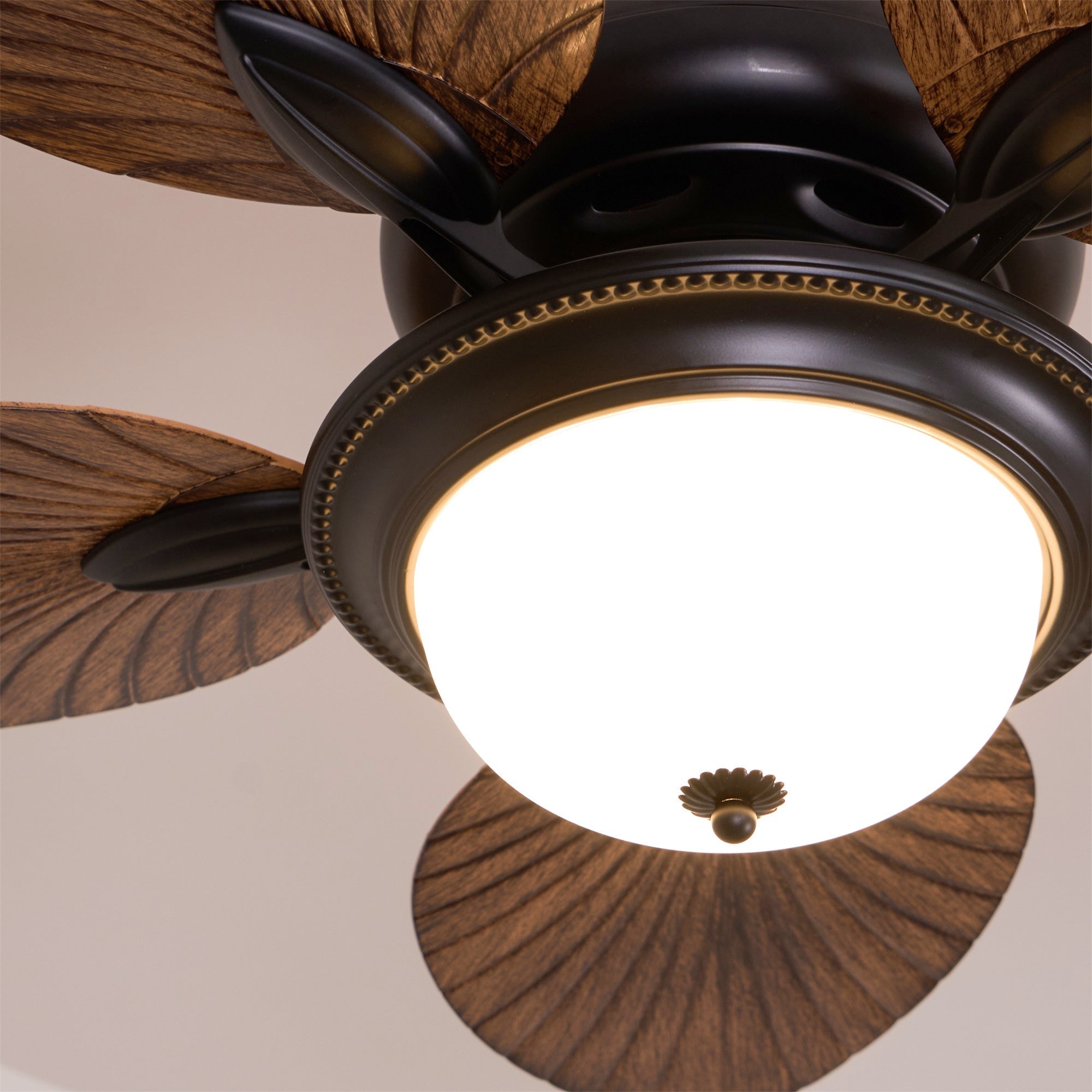 Viraalel Ceiling Fan Light