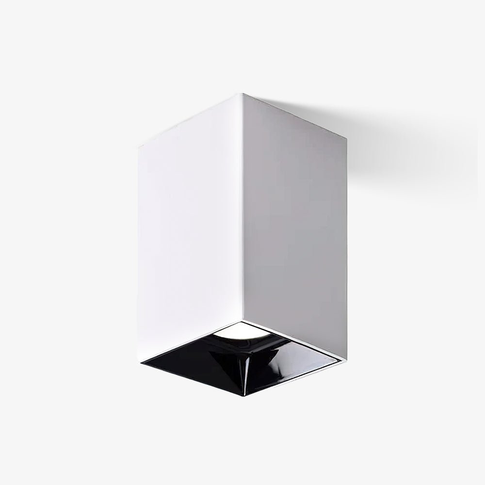 Orelaniella Ceiling Light Cube Square Black Spotlight