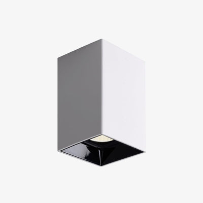 Orelaniella Ceiling Light Cube Square Black Spotlight
