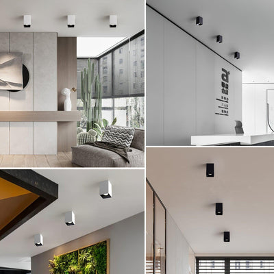 Orelaniella Ceiling Light Cube Square Black Spotlight
