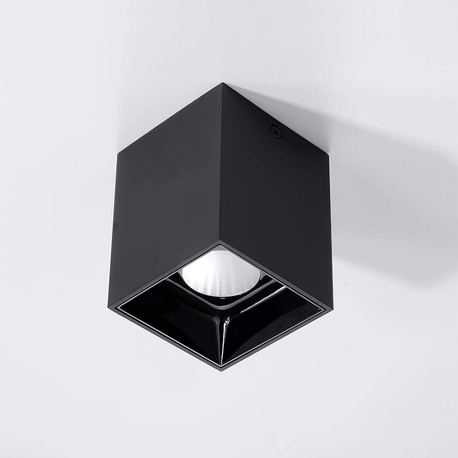 Orelaniella Ceiling Light Cube Square Black Spotlight
