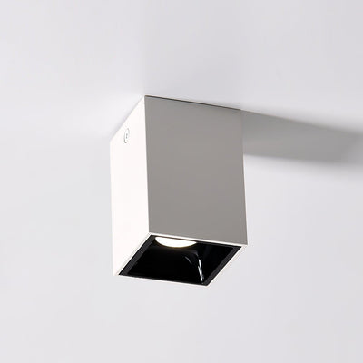 Orelaniella Ceiling Light Cube Square Black Spotlight