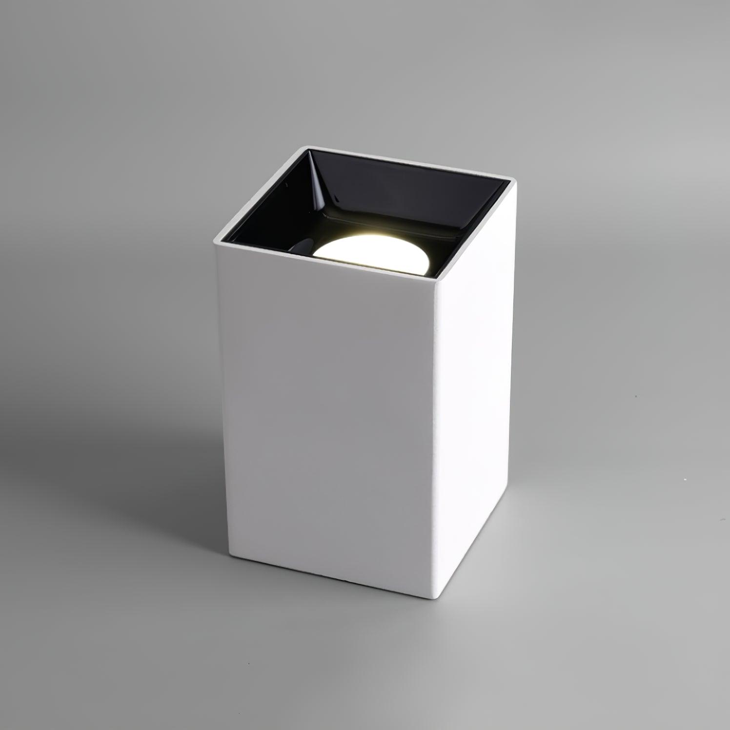 Orelaniella Ceiling Light Cube Square Black Spotlight