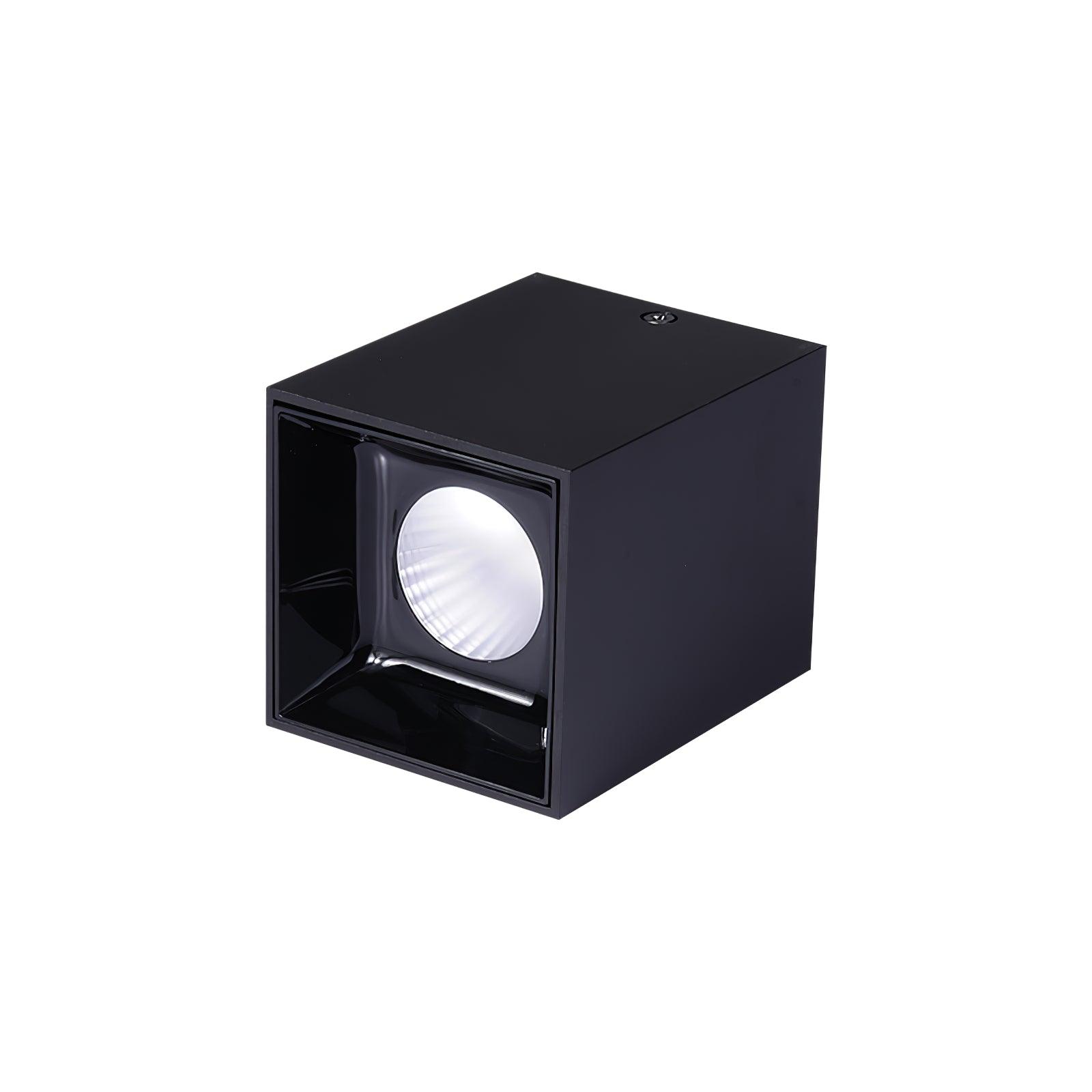 Orelaniella Ceiling Light Cube Square Black Spotlight