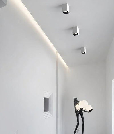Orelaniella Ceiling Light Cube Square Black Spotlight
