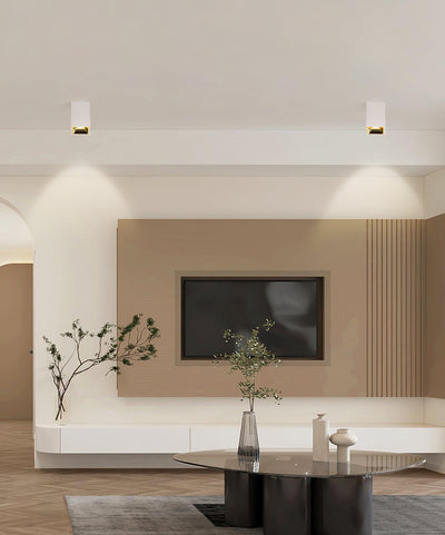 Orelaniella Ceiling Light Cube Square Black Spotlight