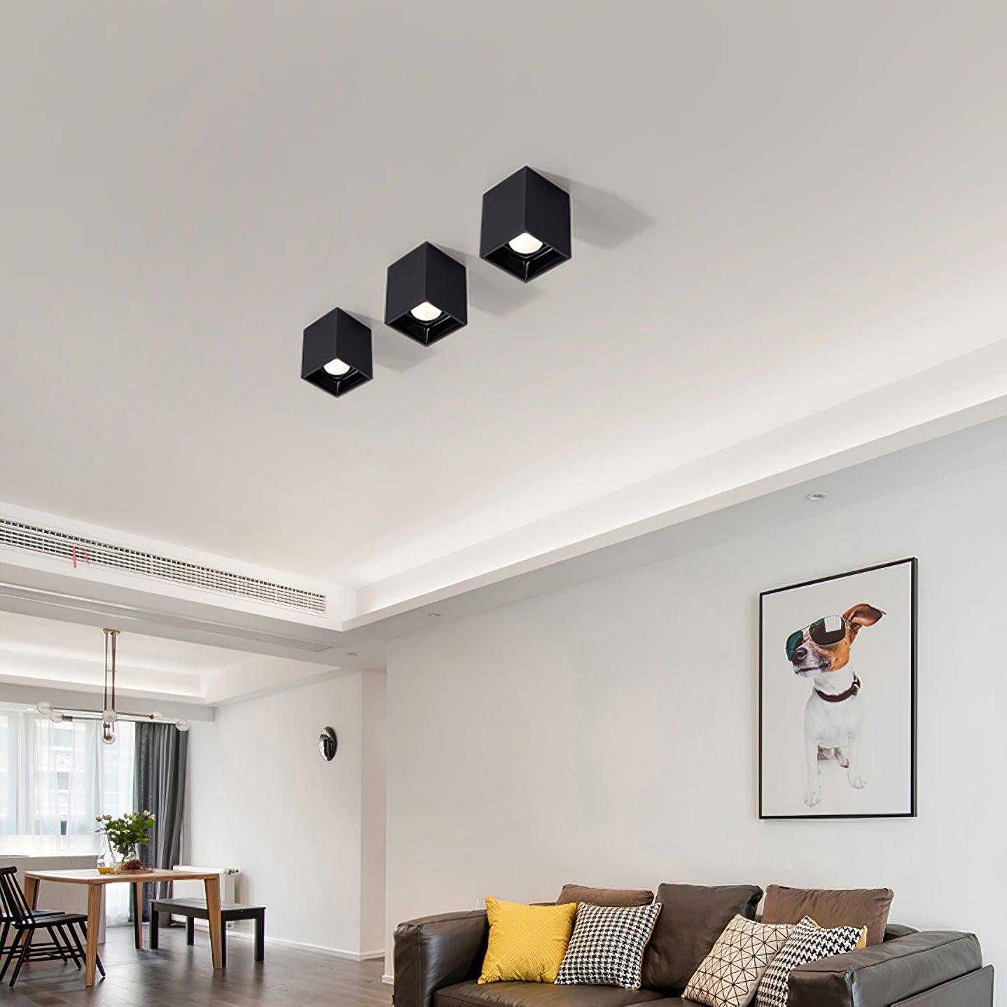 Orelaniella Ceiling Light Cube Square Black Spotlight