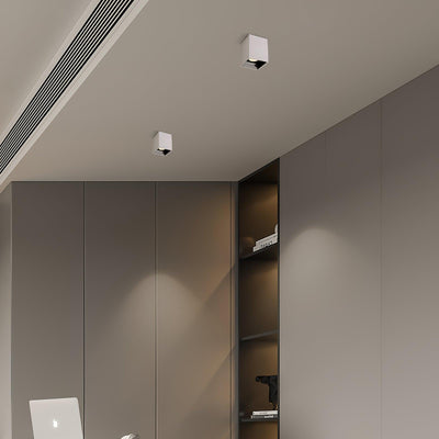 Orelaniella Ceiling Light Cube Square Black Spotlight