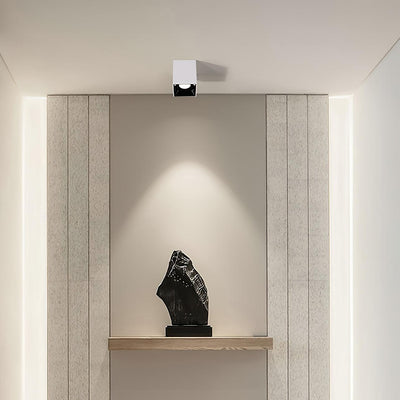 Orelaniella Ceiling Light Cube Square Black Spotlight
