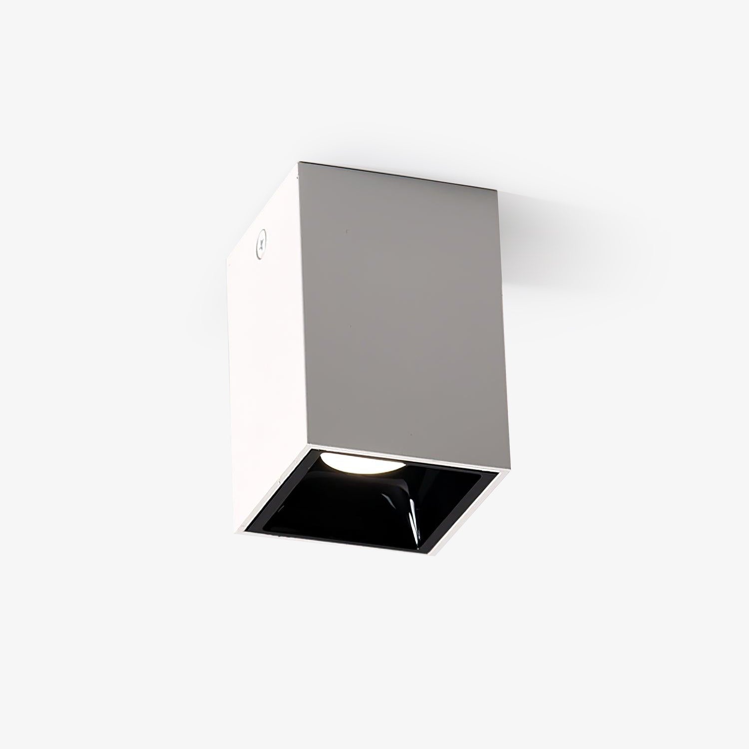 Orelaniella Ceiling Light Cube Square Black Spotlight