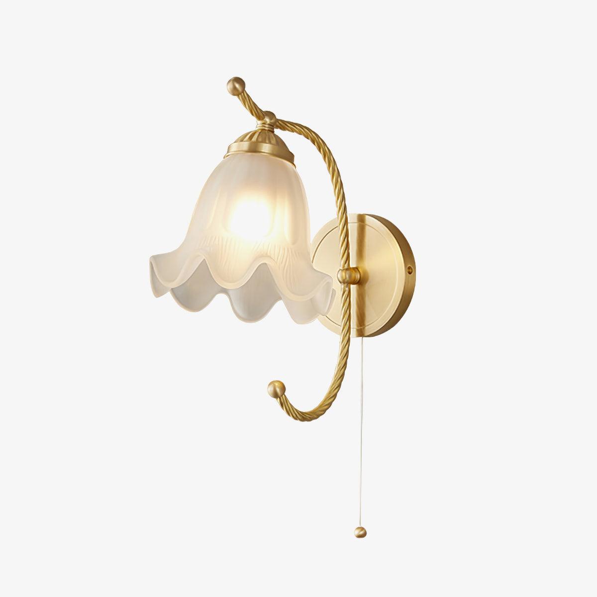 Celisenne Wall Sconce Brass Gooseneck Glass