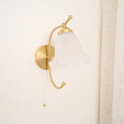 Celisenne Wall Sconce Brass Gooseneck Glass