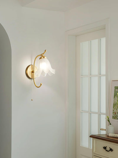 Celisenne Wall Sconce Brass Gooseneck Glass
