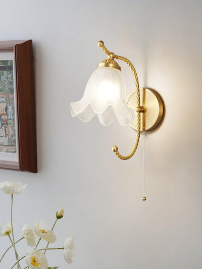 Celisenne Wall Sconce Brass Gooseneck Glass