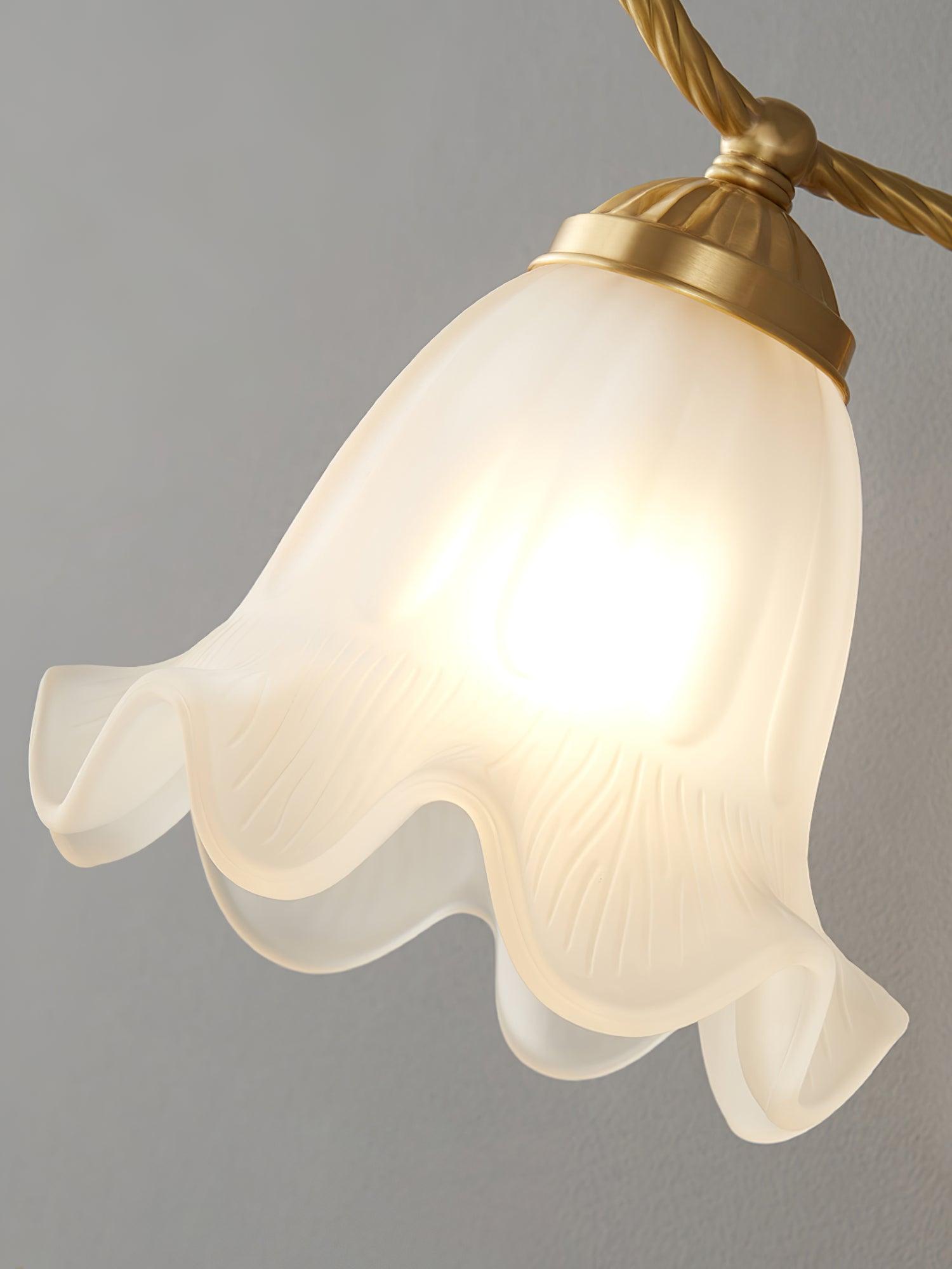 Celisenne Wall Sconce Brass Gooseneck Glass
