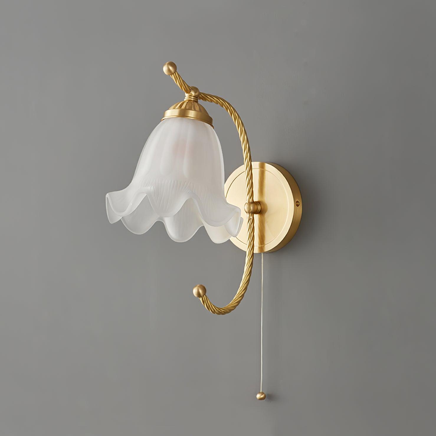 Celisenne Wall Sconce Brass Gooseneck Glass