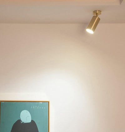 Grover Rotatable Brass Spotlight Wall Light