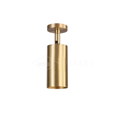 Ezveno Modern Minimalist Brass Ceiling Lamp