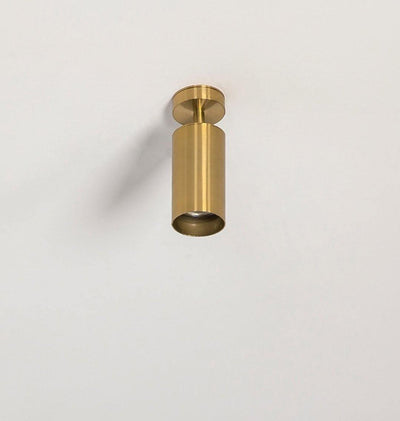 Ezveno Modern Minimalist Brass Ceiling Lamp