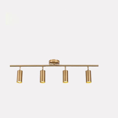 Grover Rotatable Brass Spotlight Wall Light