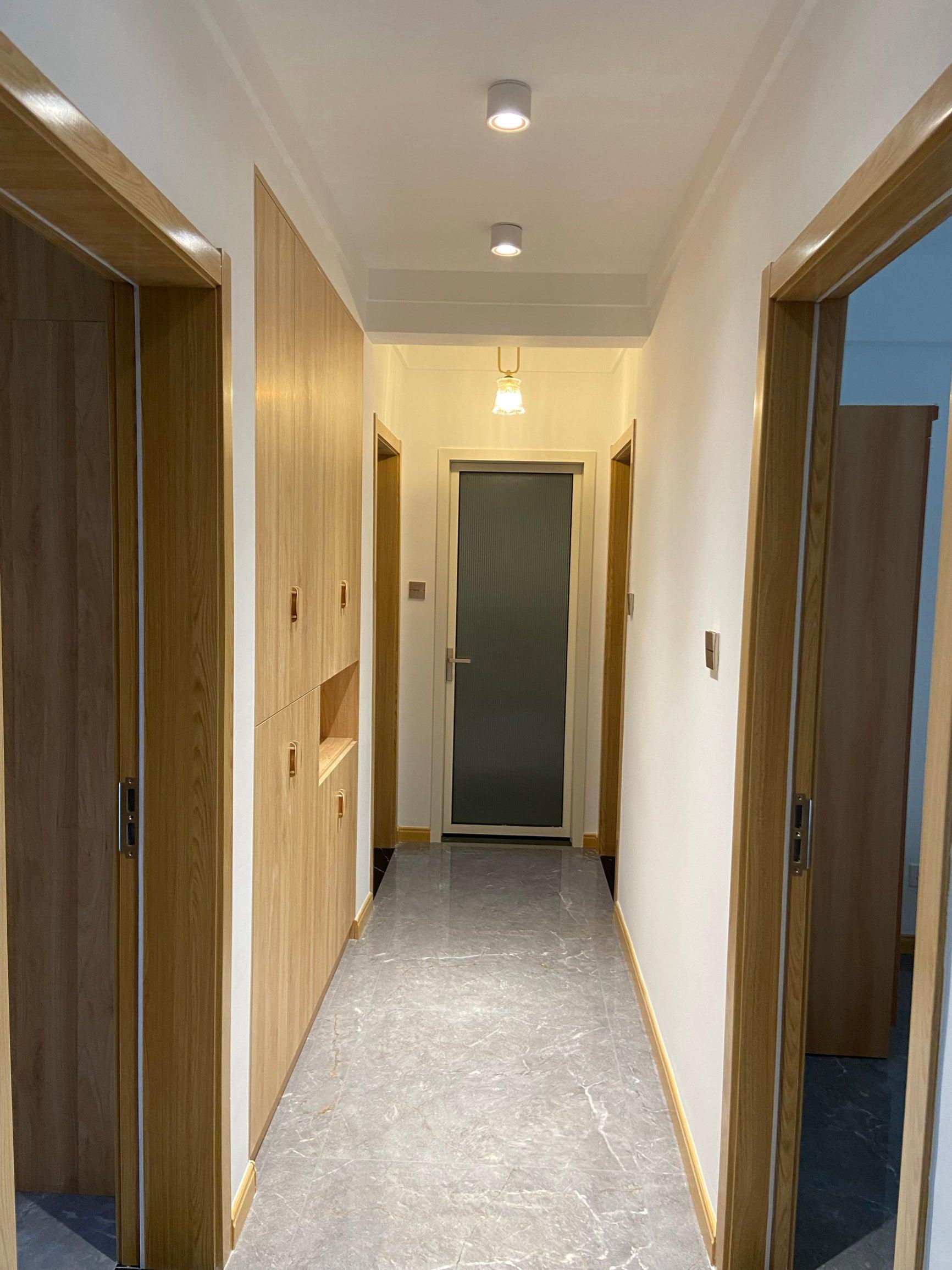 Mirirel Ceiling Lamp Modern Ember Recessed LED Downlight