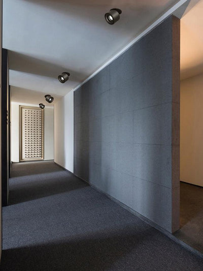 Mirirel Ceiling Lamp Modern Ember Recessed LED Downlight