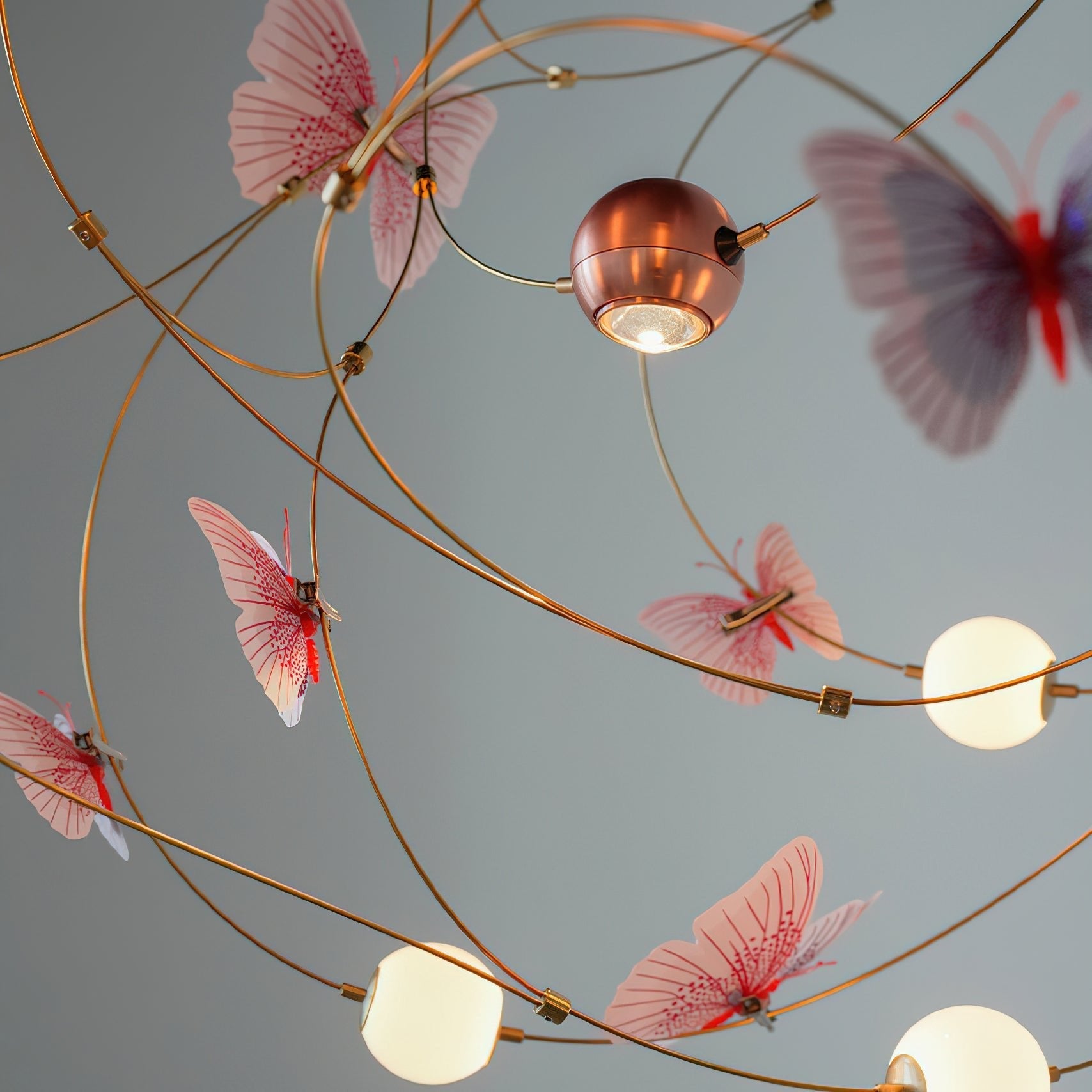 Calenira Orbit Butterfly Chandelier