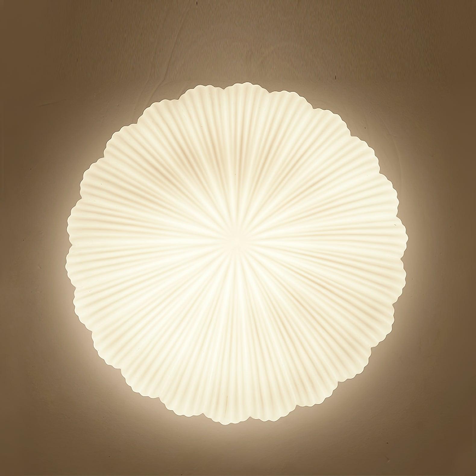 Elo Ceiling Lamp Seashell Shape Ribbed Soft Elegant