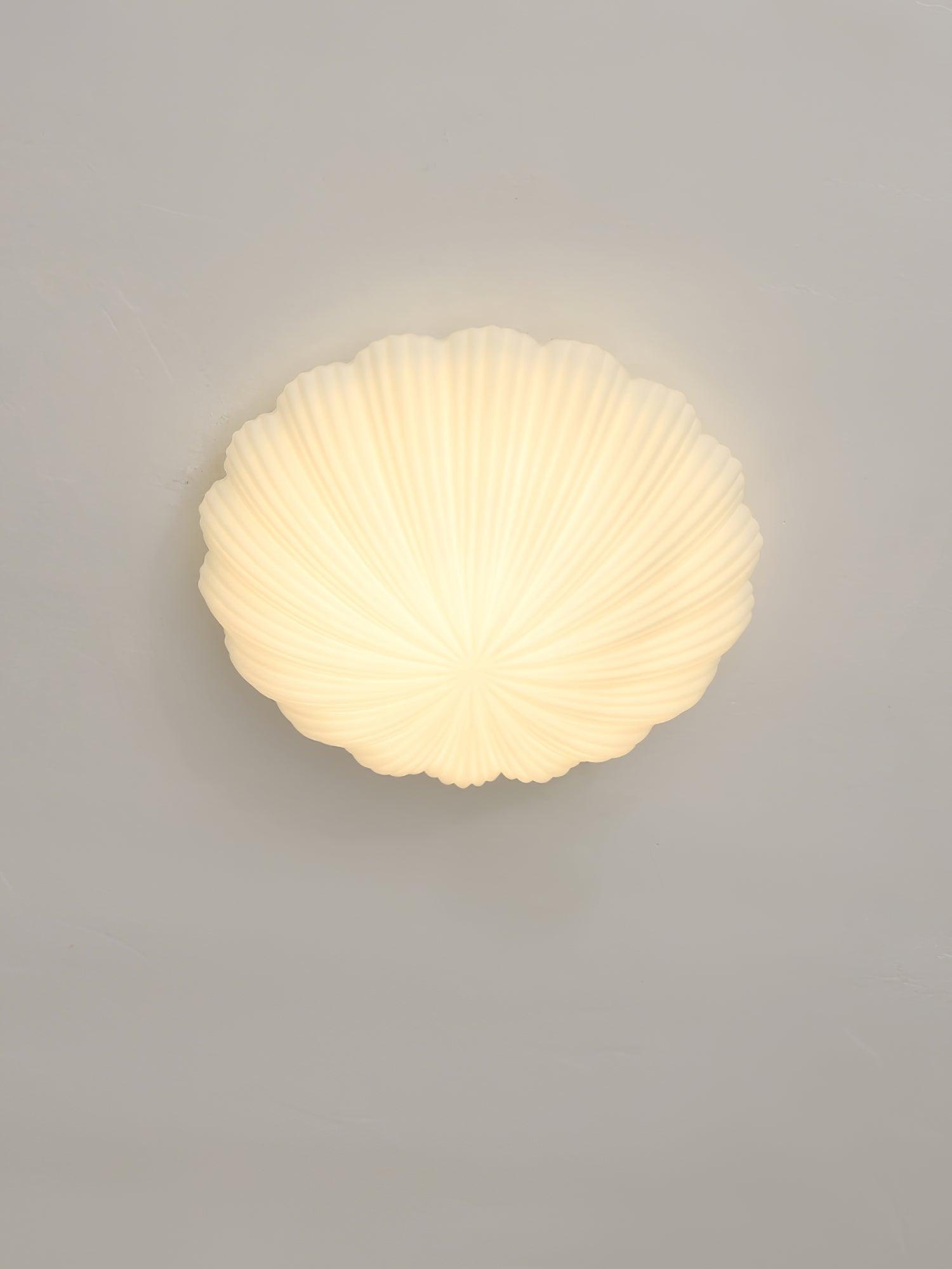 Elo Ceiling Lamp Seashell Shape Ribbed Soft Elegant