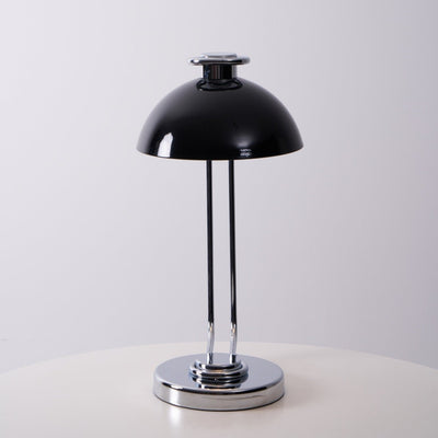 Lucanella Contemporary Acrylic Table lamp