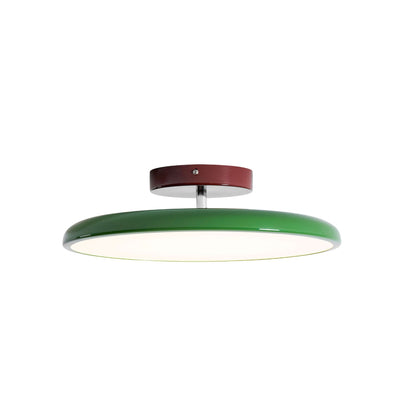 Elmsfield Adjustable Flush Mount Ceiling Light