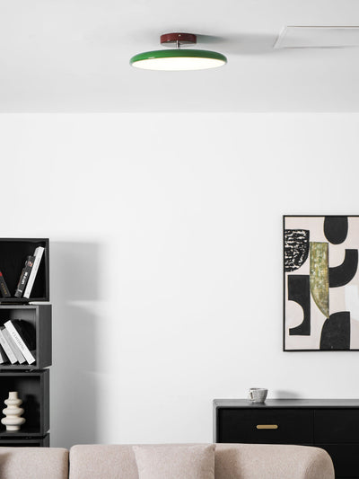 Elmsfield Adjustable Flush Mount Ceiling Light